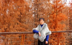 欧美无人区码卡二卡3卡4免费